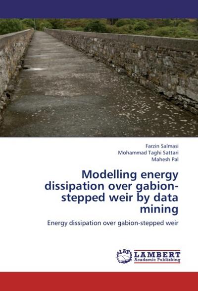 Modelling energy dissipation over gabion-stepped weir by data mining