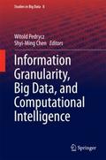 Information Granularity, Big Data, and Computation