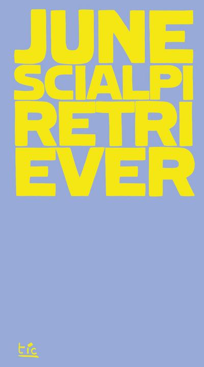 Scialpi, J: Retriever. (Possibile inquadramento teorico di u