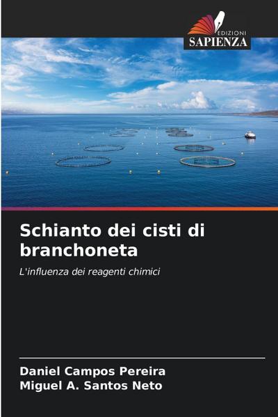 Schianto dei cisti di branchoneta