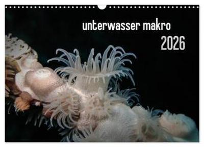 unterwasser makro 2026 (Wandkalender 2026 DIN A3 quer), CALVENDO Monatskalender