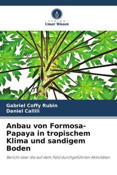 Anbau von Formosa-Papaya in tropischem Klima und sandigem Boden