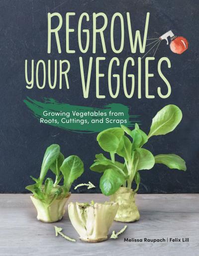 Regrow Your Veggies
