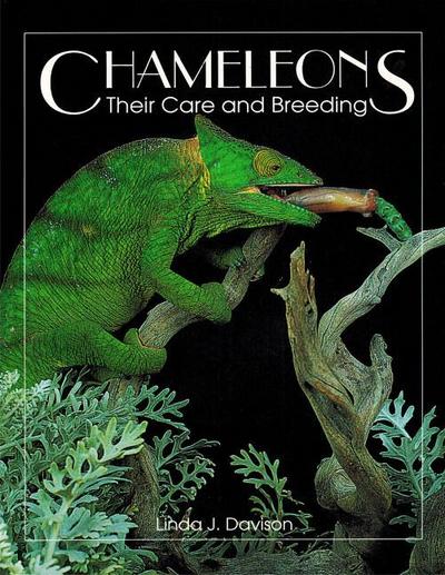 Chameleons
