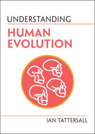 Understanding Human Evolution