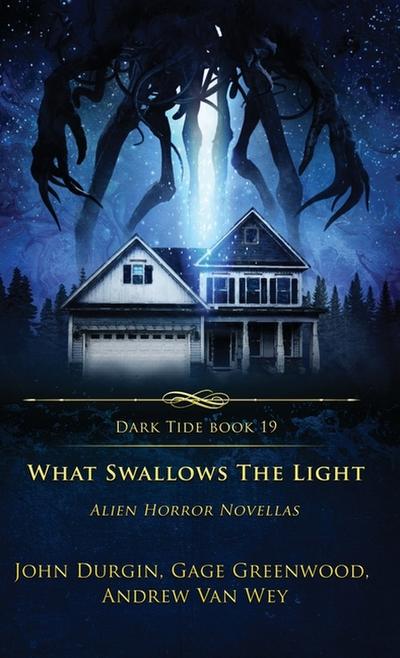 What Swallows the Light