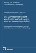 Das Vermögensstrafrecht vor den Herausforderungen einer modernen Gesellschaft