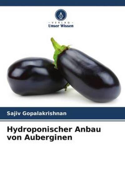 Hydroponischer Anbau von Auberginen