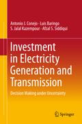 Investment in Electricity Generation and Transmiss