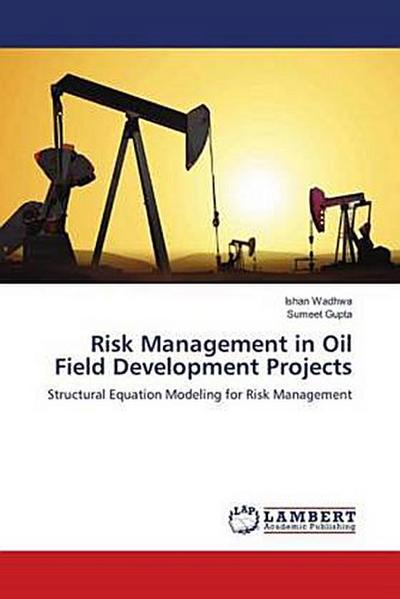 Risk Management in Oil Field Development Projects