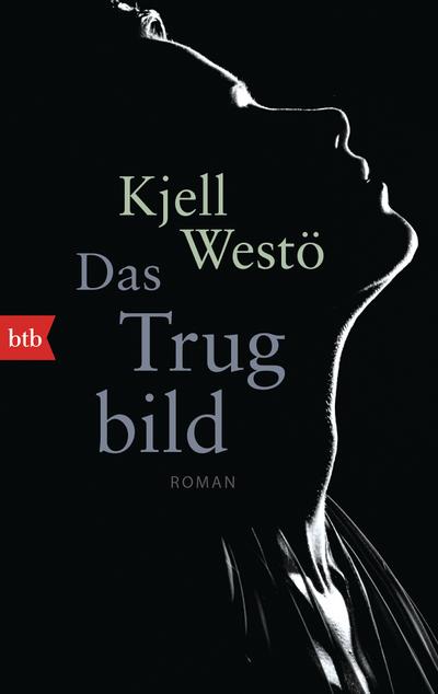 Das Trugbild: Roman
