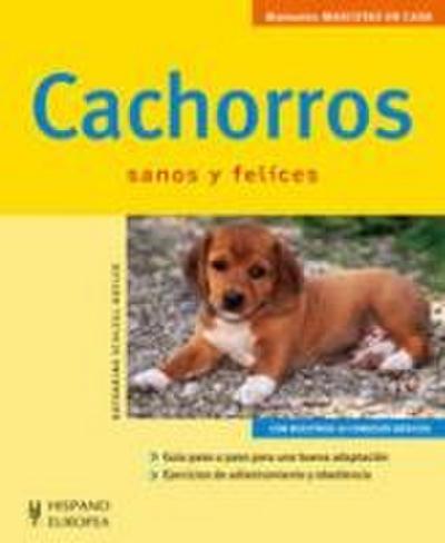 Cachorros : mascotas en casa