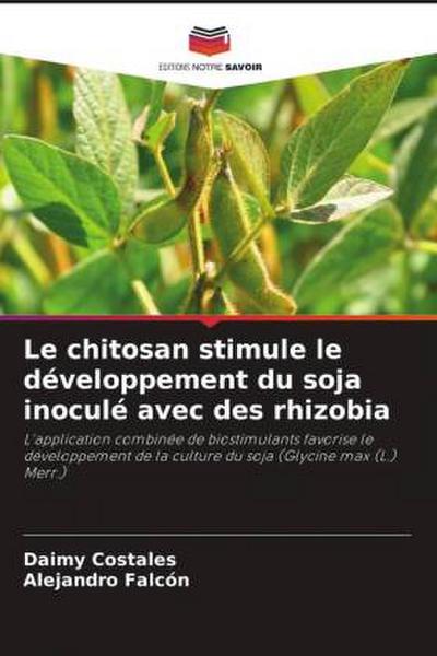 Le chitosan stimule le développement du soja inoculé avec des rhizobia