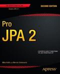 Pro JPA 2