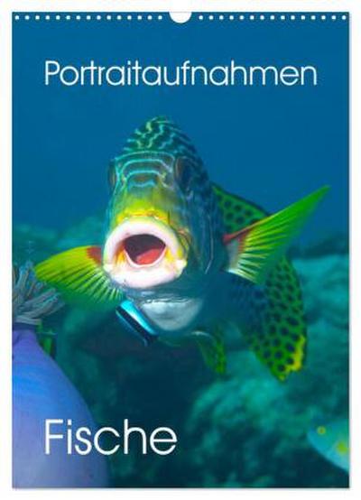 Portraitaufnahmen - Fische (Wandkalender 2026 DIN A3 hoch), CALVENDO Monatskalender