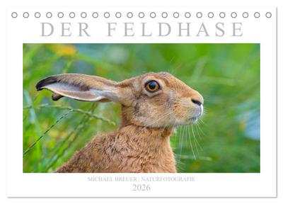 Der Feldhase (Tischkalender 2026 DIN A5 quer), CALVENDO Monatskalender