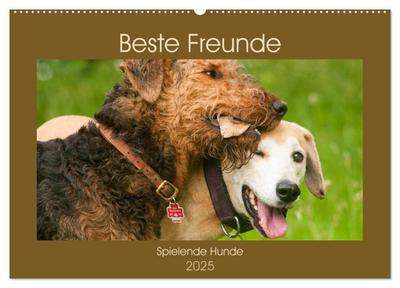 Beste Freunde - Spielende Hunde (Wandkalender 2025 DIN A2 quer), CALVENDO Monatskalender