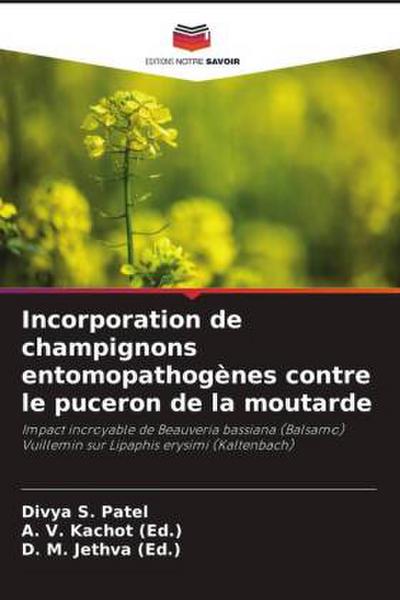 Incorporation de champignons entomopathogènes contre le puceron de la moutarde