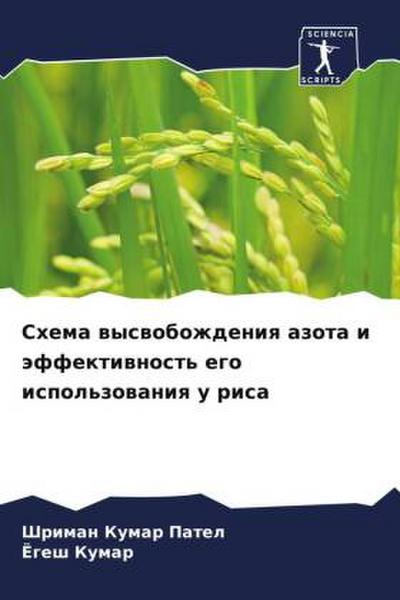 Shema wyswobozhdeniq azota i äffektiwnost’ ego ispol’zowaniq u risa