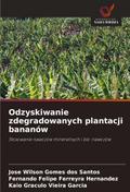 Odzyskiwanie zdegradowanych plantacji bananów