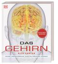 Das Gehirn