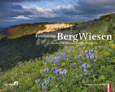 Faszination BergWiesen