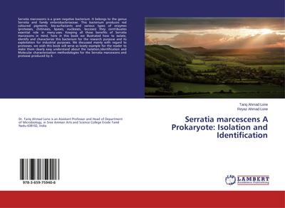 Serratia marcescens A Prokaryote: Isolation and Identification