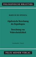 Sämtliche Werke, Ergänzungsband: Algebraische Bere