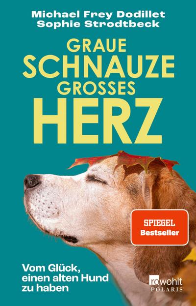 Graue Schnauze, großes Herz