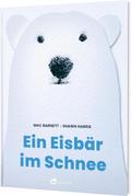 Ein Eisbär im Schnee