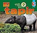 Animales de la Selva Amazónica — El tapir