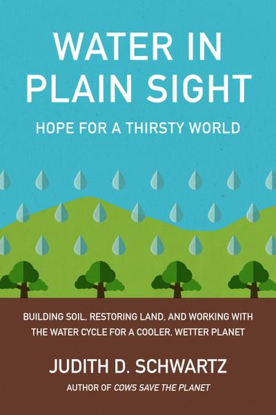Water in Plain Sight
