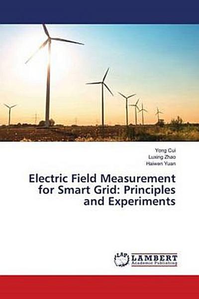 Electric Field Measurement for Smart Grid: Principles and Experiments