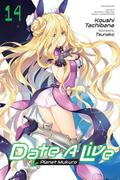Date a Live 14 (Light Novel)