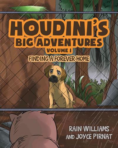 Houdini’s Big Adventures