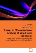 Essays in Macroeconomic Analysis of Small Open Eco