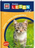 Katzen - meine Lieblingstiere