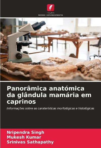 Panorâmica anatómica da glândula mamária em caprinos