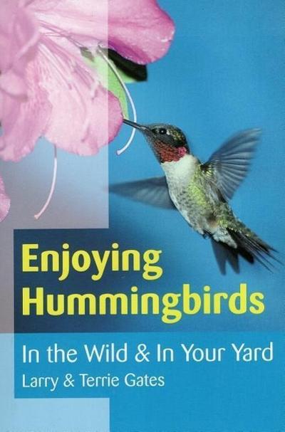 Enjoying Hummingbirds