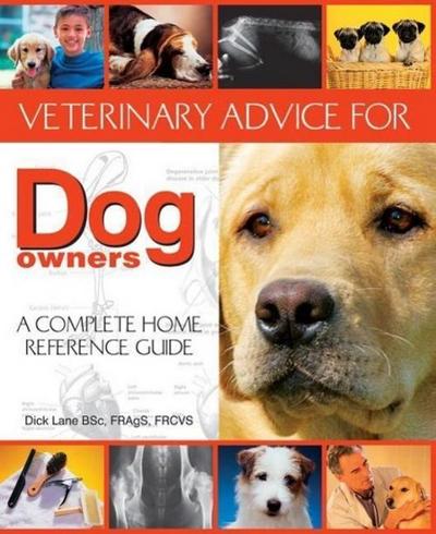 Veterinary Advice for Dog Owners