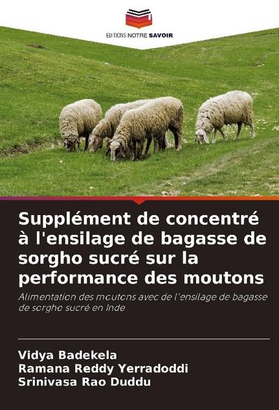 Supplément de concentré à l’ensilage de bagasse de sorgho sucré sur la performance des moutons