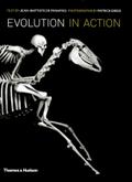 Evolution in Action: Natural History through Spectacular Skeletons