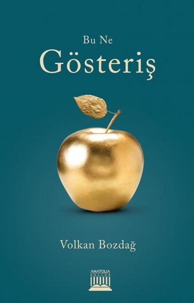 Bu Ne Gösteris
