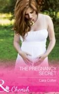 Pregnancy Secret (Mills & Boon Cherish)