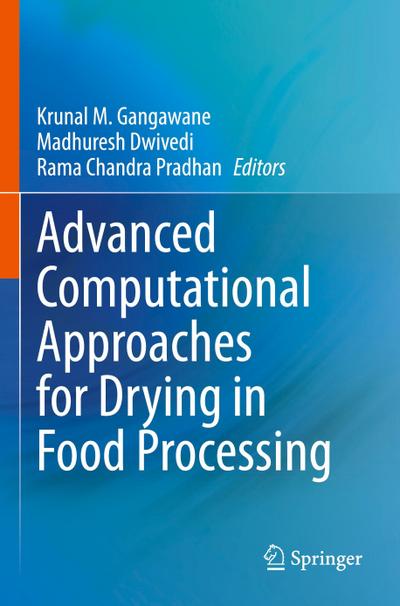 Advanced Computational Approaches for Drying in Food Processing