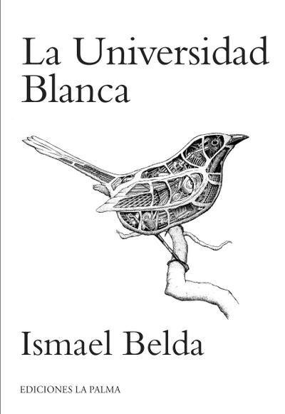 La universidad blanca