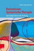 Basiswissen Systemische Therapie