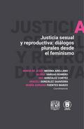 Justicia sexual y reproductiva: Diálogos plurales desde el feminismo
