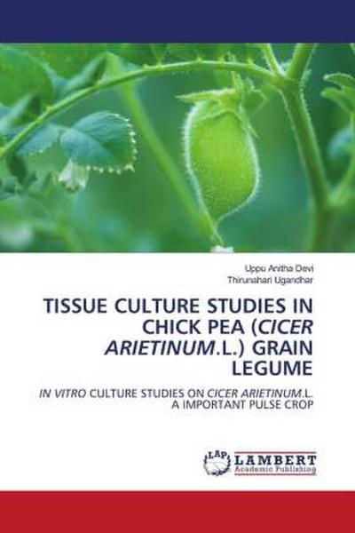 TISSUE CULTURE STUDIES IN CHICK PEA (CICER ARIETINUM.L.) GRAIN LEGUME