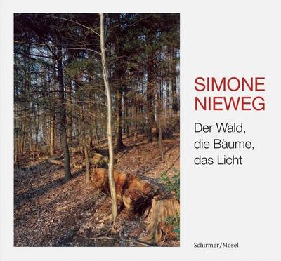 Der Wald, die Bäume, das Licht